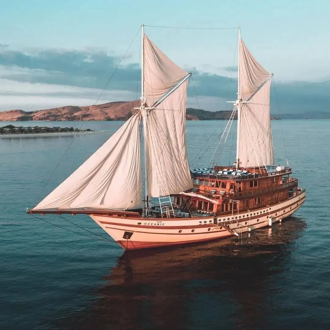 Credit: instagram.com/themajoceanic