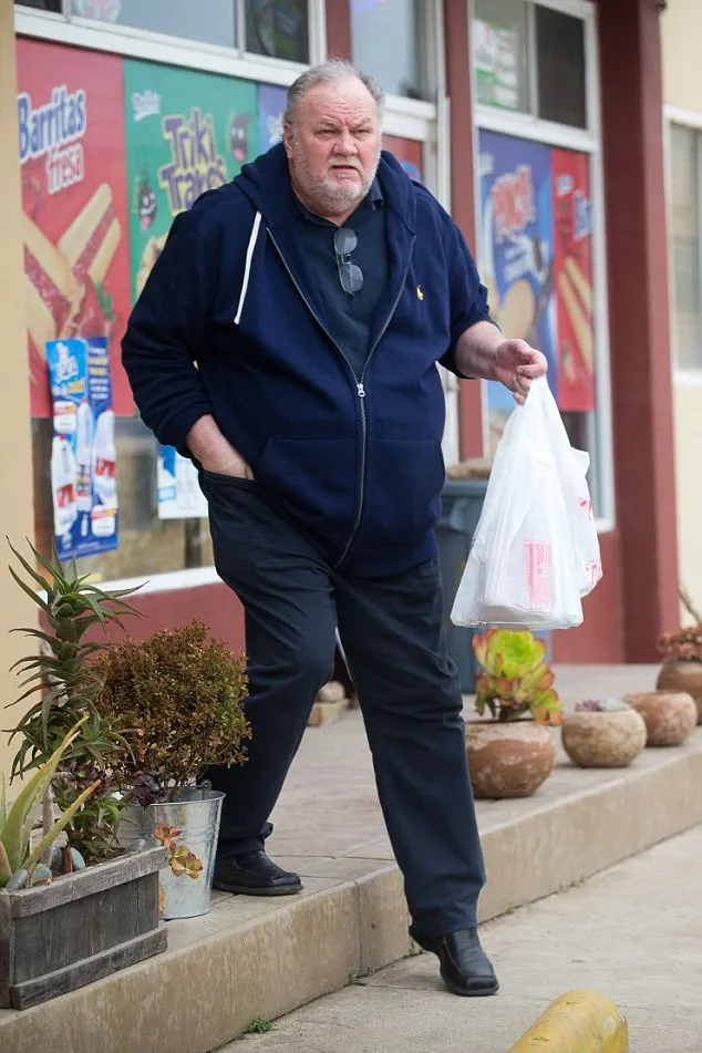 MEGA via dailymail.co.uk