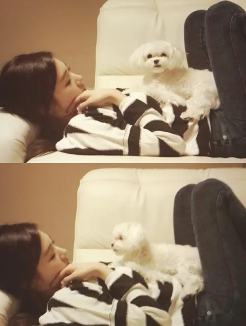 Tiffany Girls Generation bersama hewan peliharaan kesayangannya @soompi.com