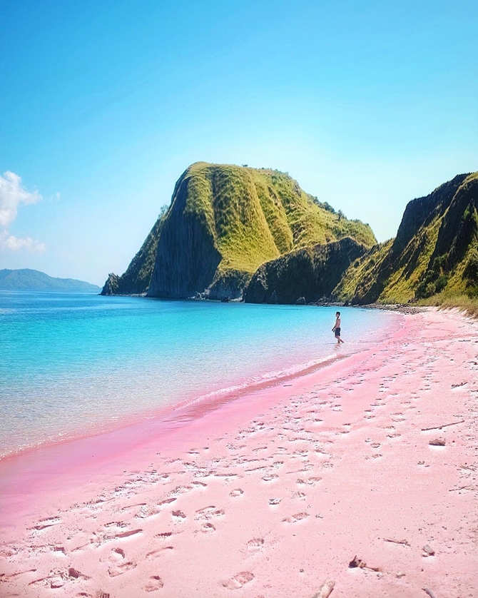 Tengok Keindahan Pantai Merah Muda Di Timur Indonesia