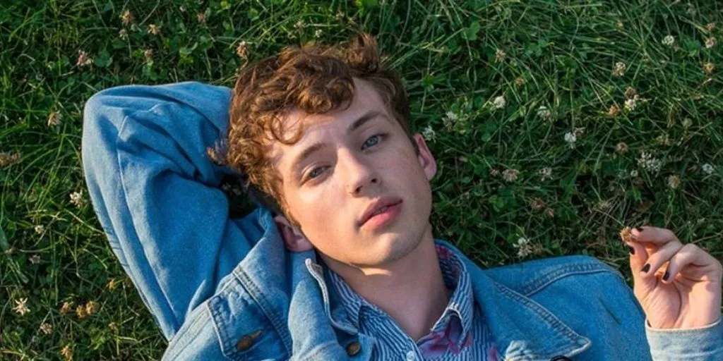 Troye Sivan feat ft. Alessia Cara - WILD (Terjemahan)