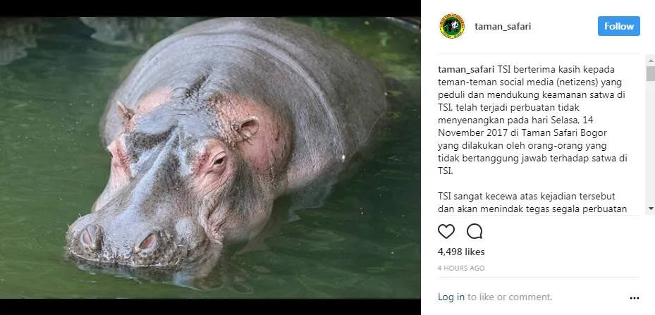 Pernyataan Taman Safari © Instagram @taman_safari