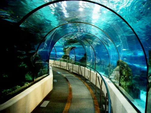 COEX Aquarium jadi salah satu pilihan jika ke Seoul. ©Koreaboo