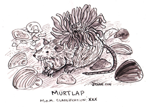Murtlap © tumblr.com