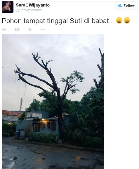 'Rumah' teman Sara Wijayanto dibabat habis/©twitter.com/sarawijayanto