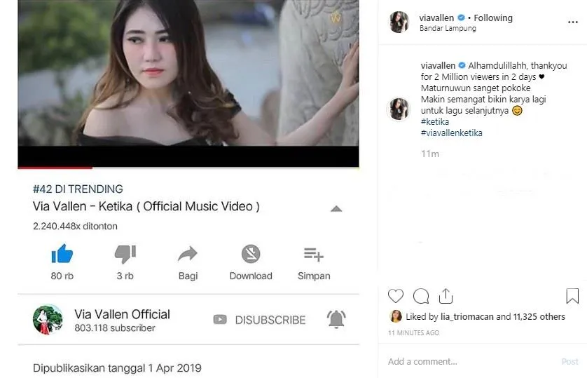 Instagram.com/viavallen