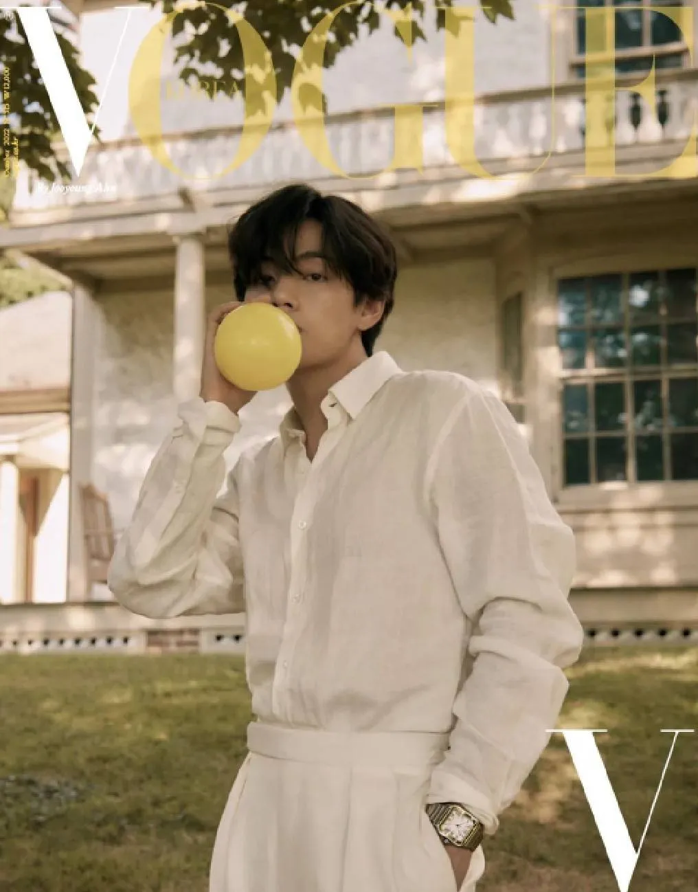 V BTS (credit: instagram.com/thv)