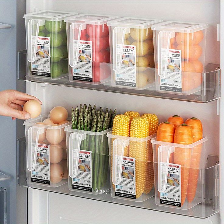 Vegetables in the Refrigerator (temu.com)