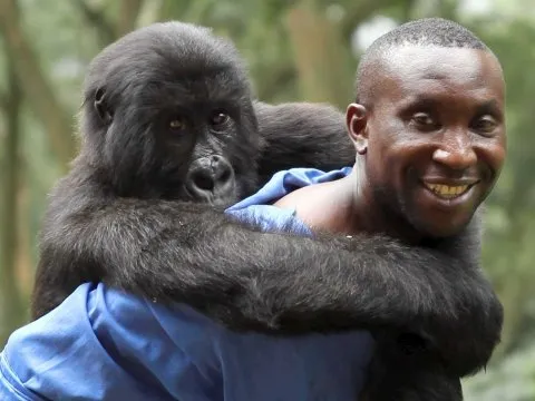 Virunga @foto: businessinsider.com