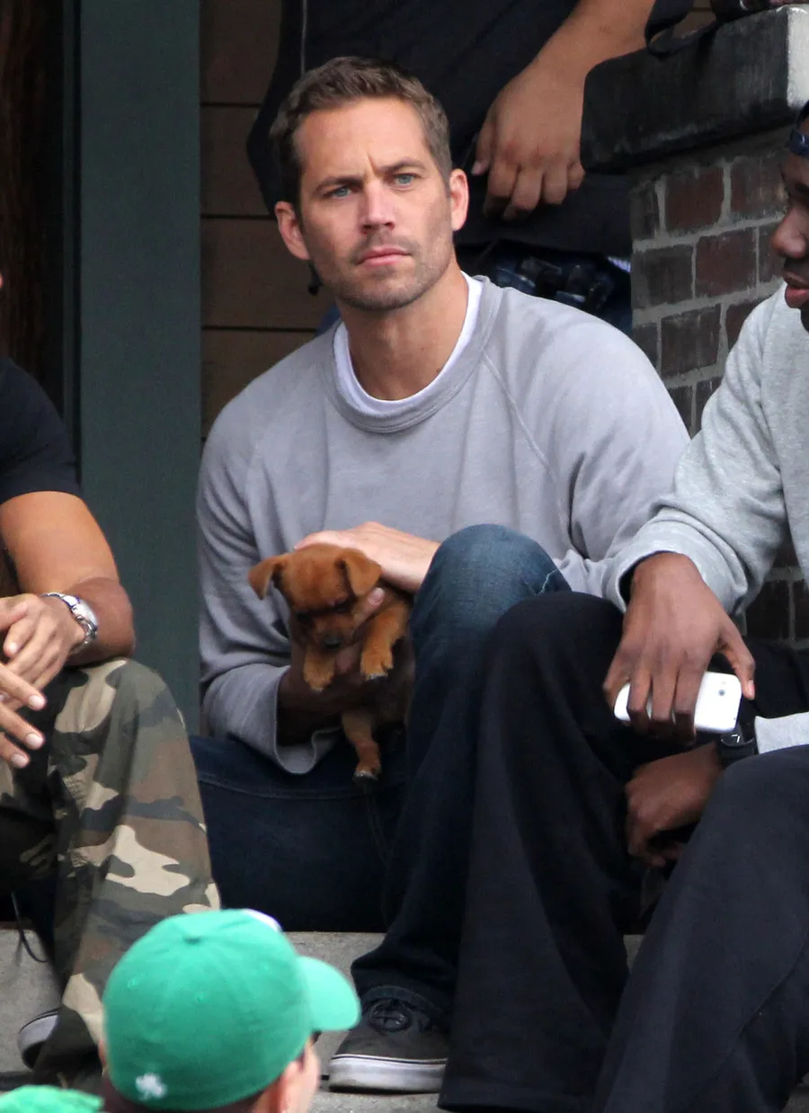 Paul Walker @ fameflynet.com