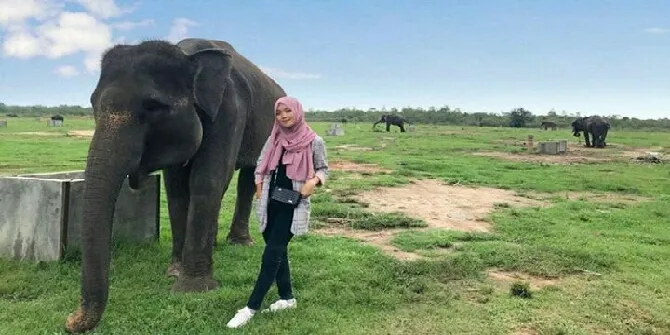 Instagram.com/TamanNasionalWayKambas, Diambil pada 23 Juli 2019