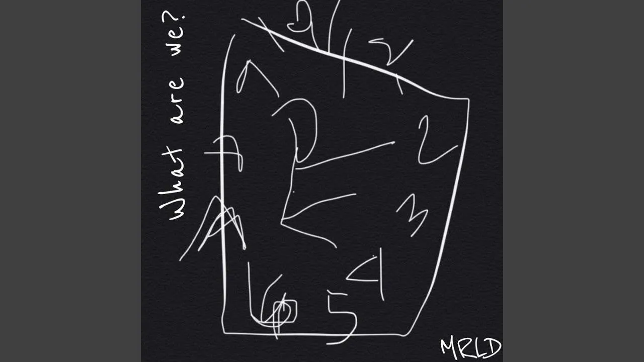 MRLD - What Are We