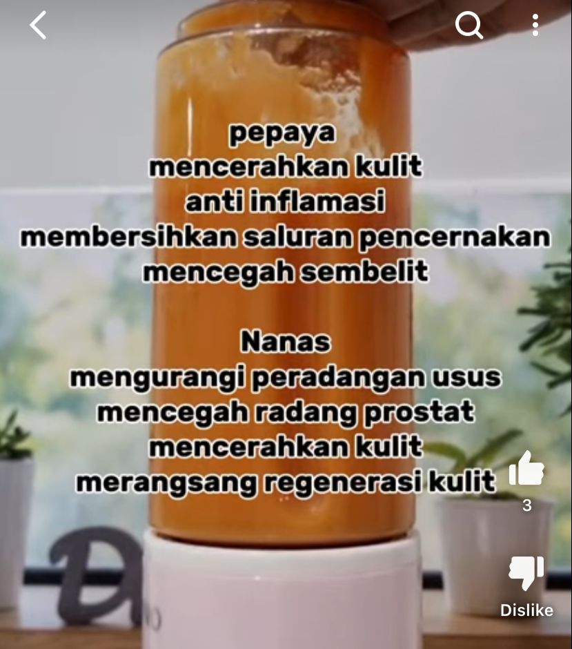 Buah nanas dan pepaya. (foto: YouTube/mom_gesit).