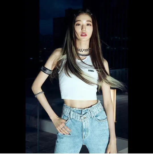 Credit: instagram.com/ivestarship