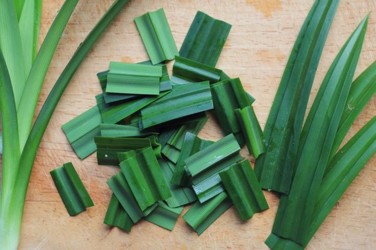 Pandan Leaf1 (matadornetwork.com)