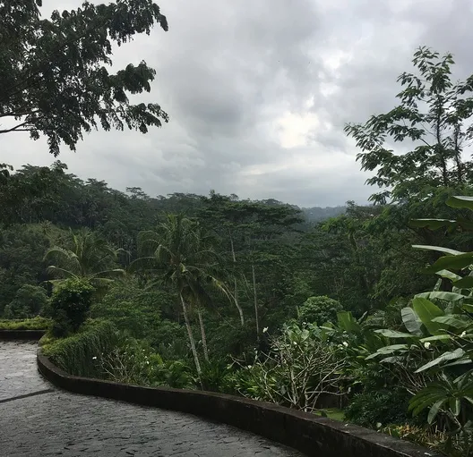 Willow Smith di Bali © Instagram.com/willowsmith