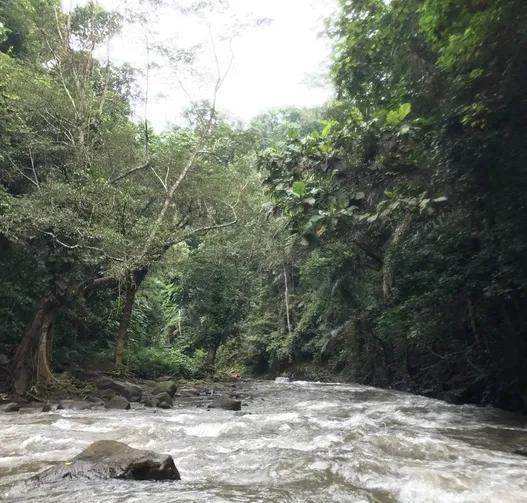 Willow menikmati sungai di Bali © Instagram.com/willowsmith