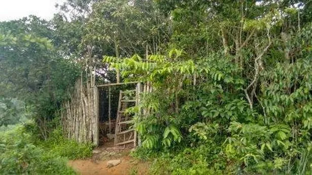 Gubuk tempat Maria disekap selama 16 tahun, tempat yang tidak layak untuk ditinggali © mirror.co.uk