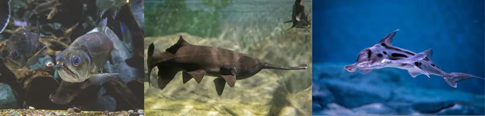 ©Resorts World Sentosa