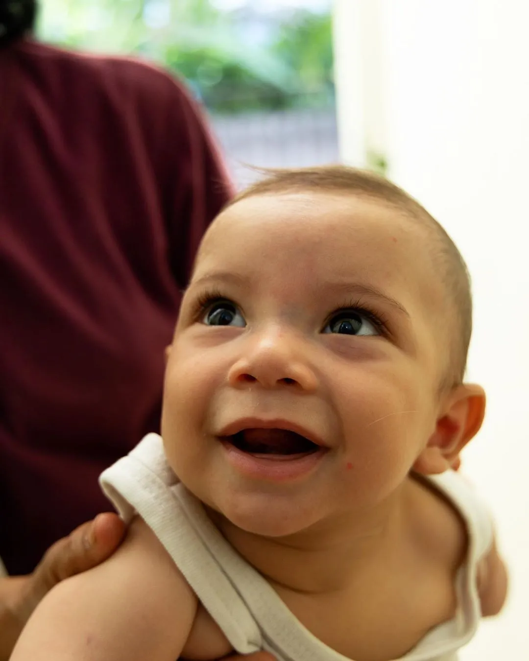 Baby Kaola / Credit: Instagram - yuliabaltschun