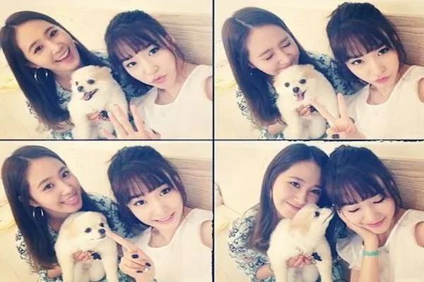 Yuri dan Tiffany Girls Generation menghabiskan waktu senggang bersama Prince yang super cute @soompi.com
