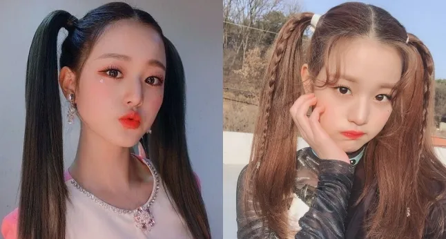 Pigtails Hair