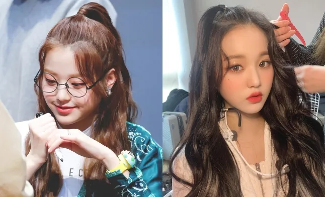 Half Ponytail Hair