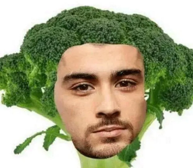 Zayn Mirip Brokoli © Twitter