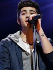 ZAYN - Like I Would (Terjemahan)