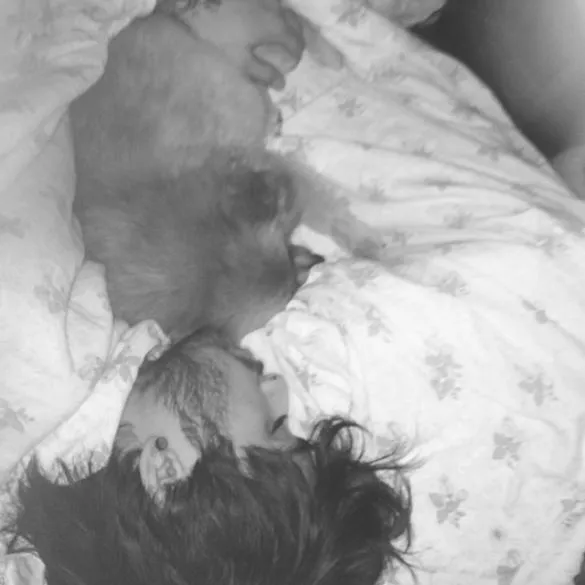 Zayn Malik @ instagram/Perrie Edwards
