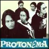 Foto profil Protonema