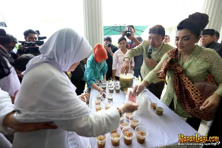 Foto Anang Hermansyah
