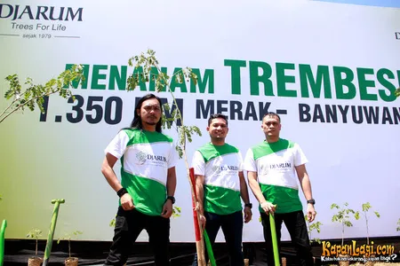 Foto Andra and The BackBone