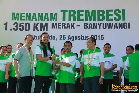 Foto Andra and The BackBone