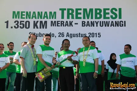 Foto Andra and The BackBone