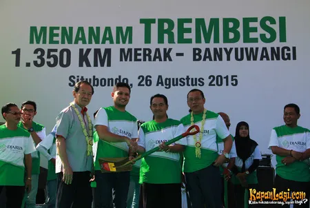 Foto Andra and The BackBone