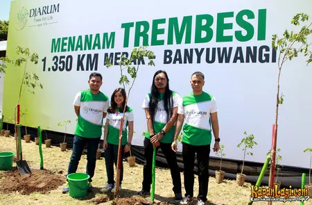 Foto Andra and The BackBone