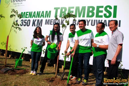 Foto Andra and The BackBone