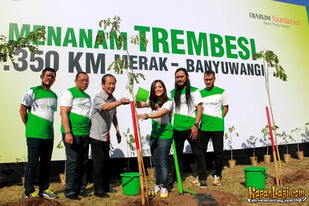 Foto Andra and The BackBone