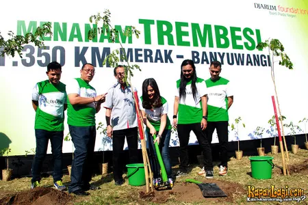 Foto Andra and The BackBone