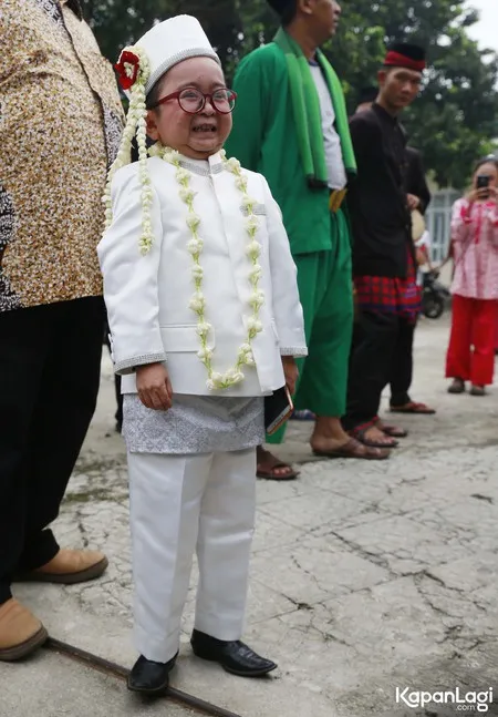 Foto Daus Mini