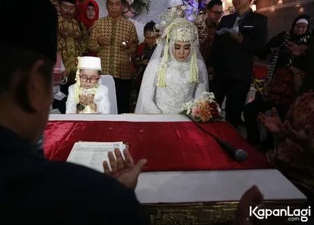 Foto Daus Mini