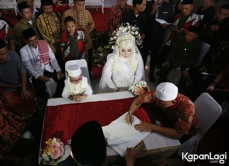 Foto Daus Mini