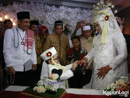 Foto Daus Mini