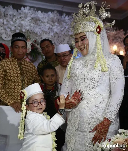 Foto Daus Mini