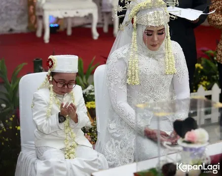 Foto Daus Mini