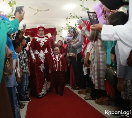 Foto Daus Mini