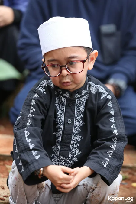 Foto Daus Mini