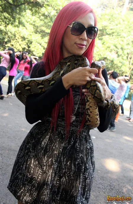Foto Dewi Sanca