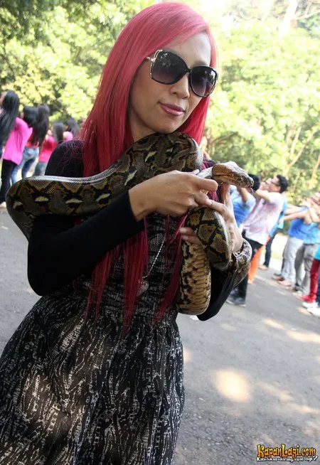 Foto Dewi Sanca